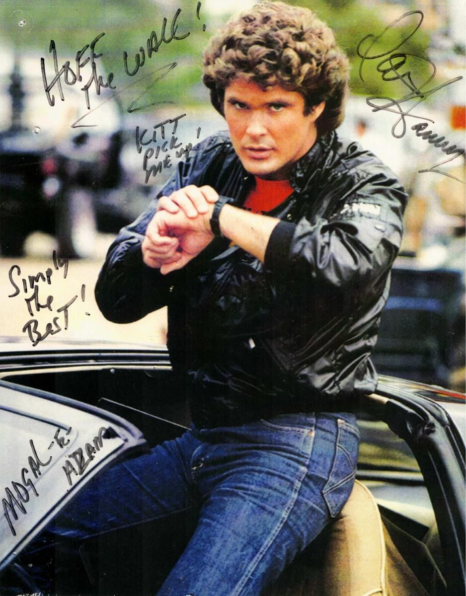 David Hasselhoff 2